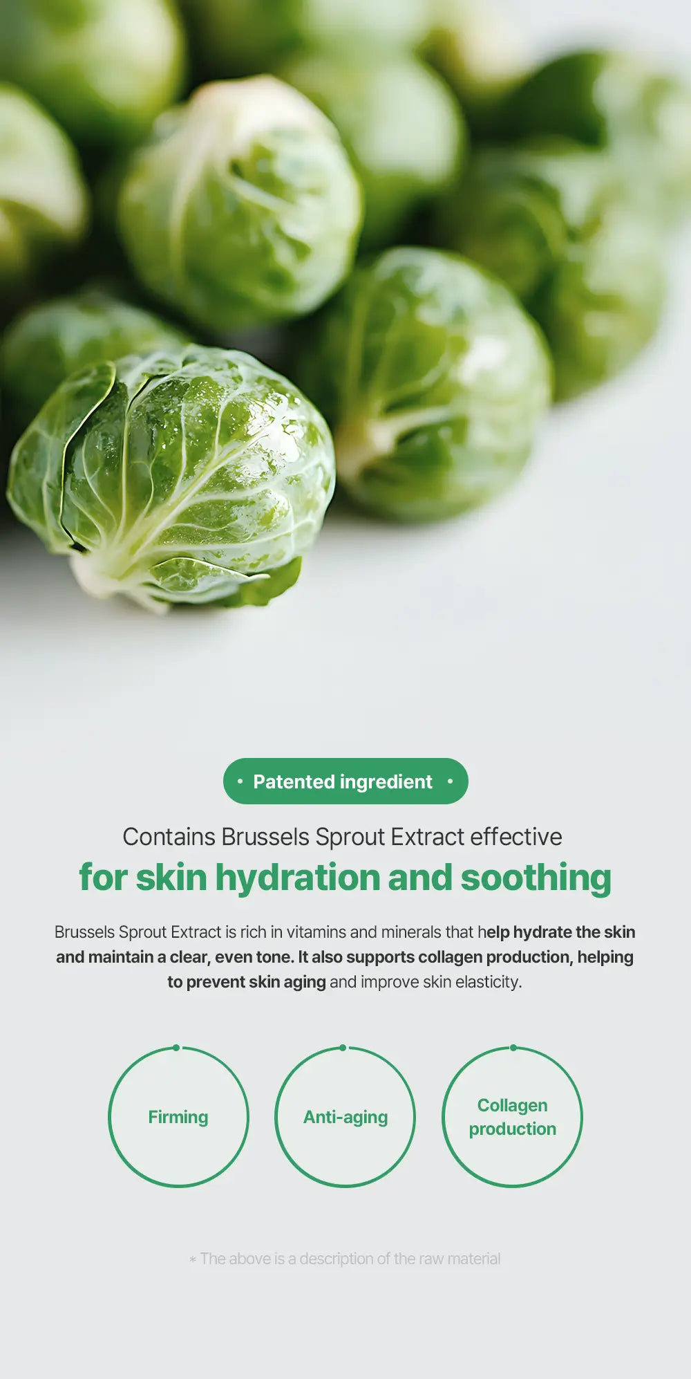 MULDREAM AC Tea Tree Fresh Foaming Cleanser