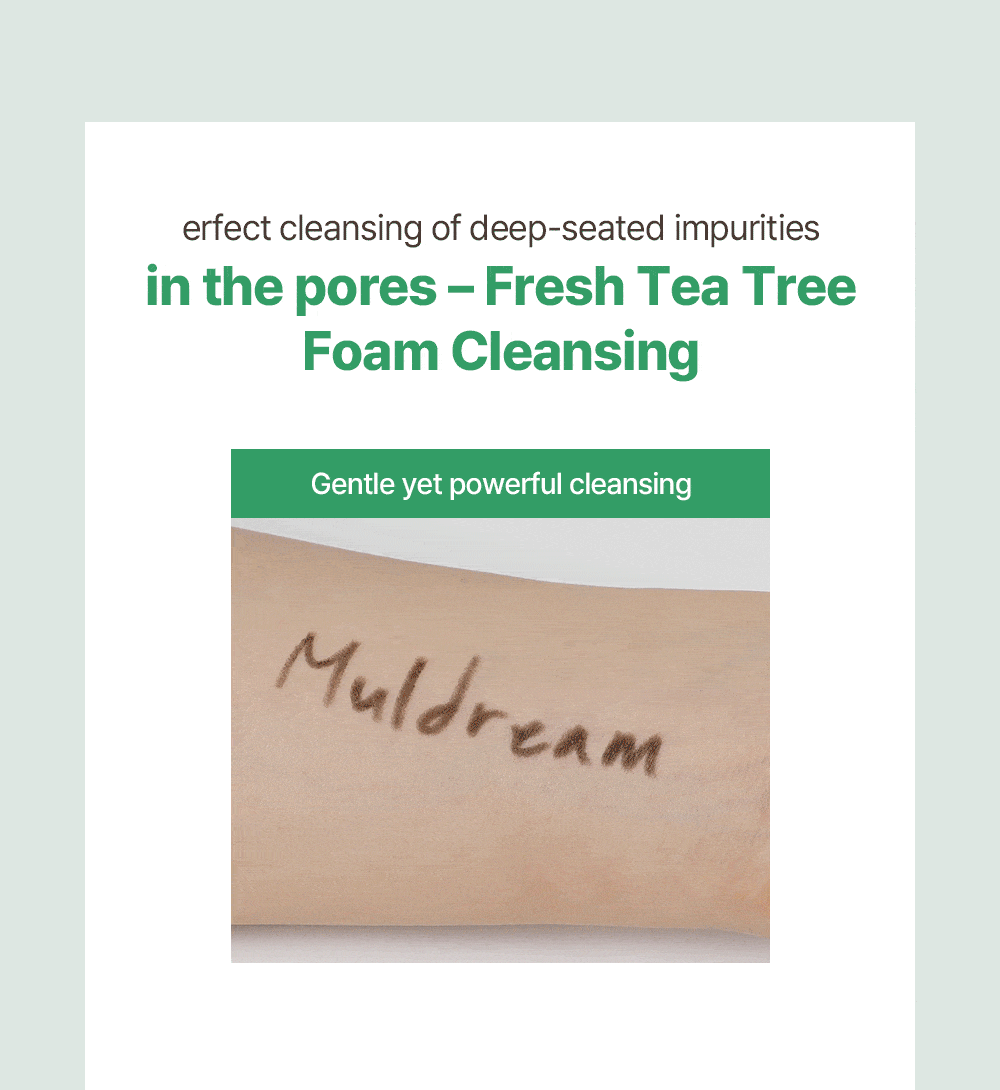 MULDREAM AC Tea Tree Fresh Foaming Cleanser